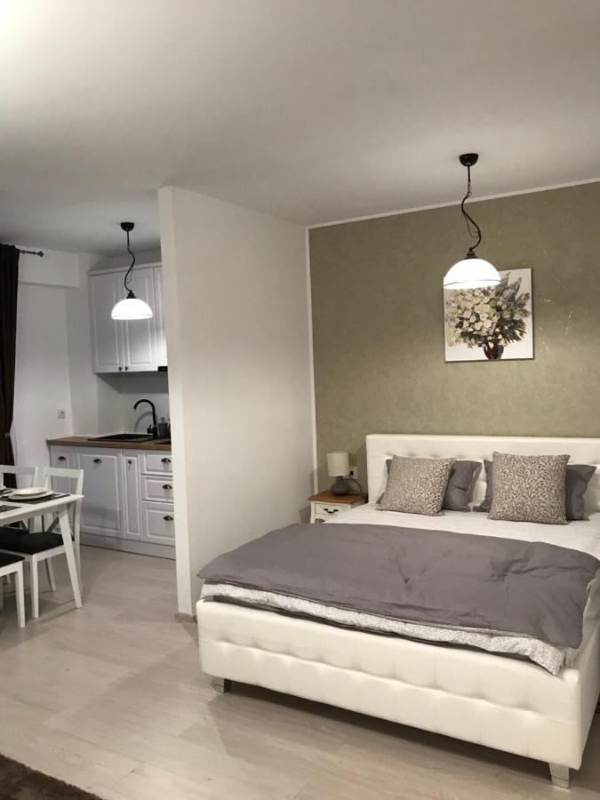 White Season Residence Брашов Экстерьер фото